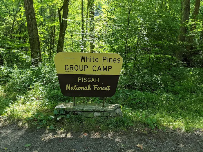 White Pine Group Camp Site Picture 3