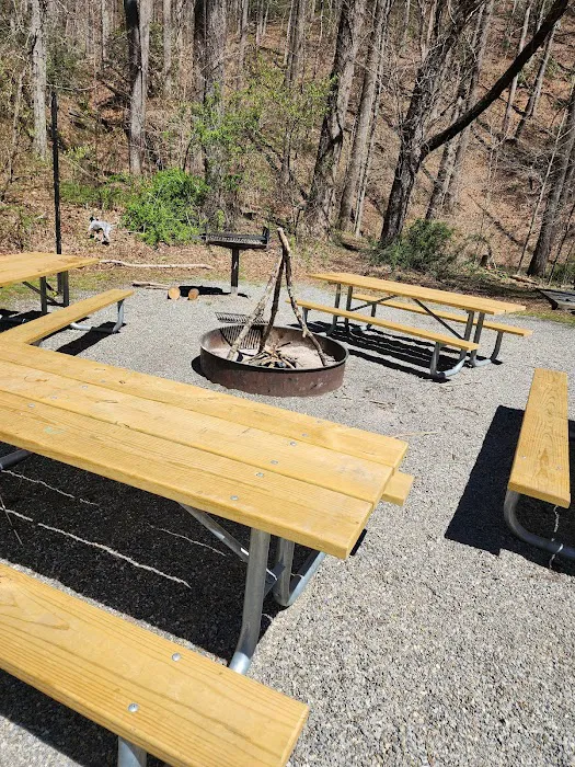 White Pine Group Camp Site Picture 2