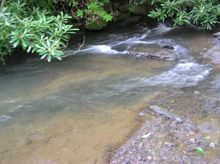 White Pine Group Camp Site Picture 7