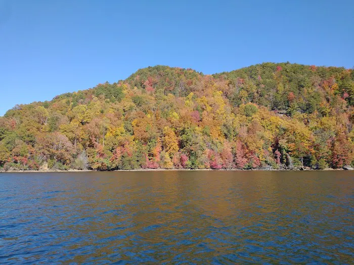 Double Springs Boat-in Campsite Picture 3