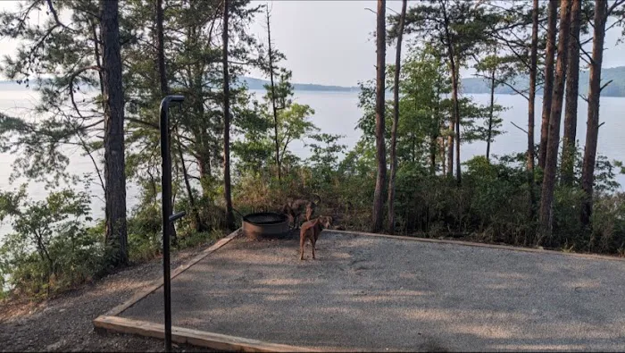 Double Springs Boat-in Campsite Picture 7