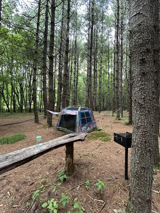 Hidden Acres Mountain Camping Picture 2