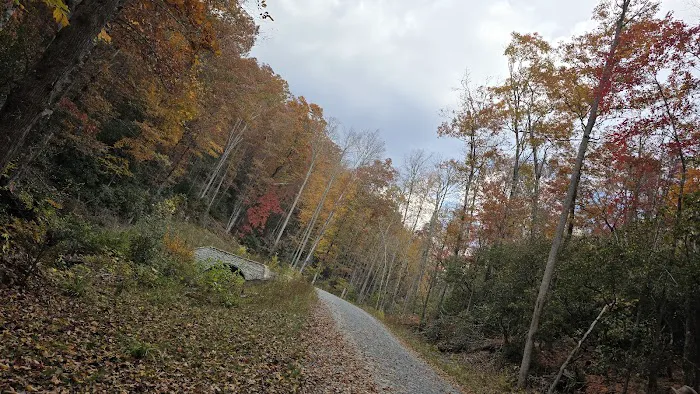 Cove Creek Group Campground Picture 2