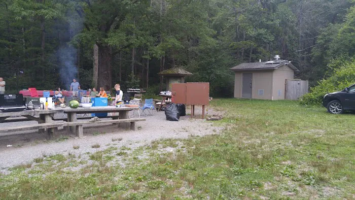 Cove Creek Group Campground Picture 1