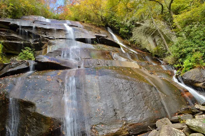 Cove Creek Group Campground Picture 5