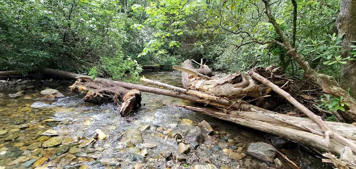 Cove Creek Group Campground Picture 10