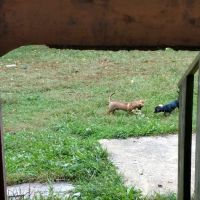 Pinhook Valley Campground and RV Park ico