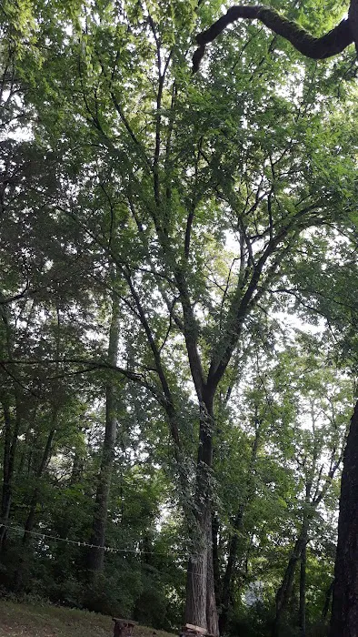 Cherokee Park Campground Picture 10