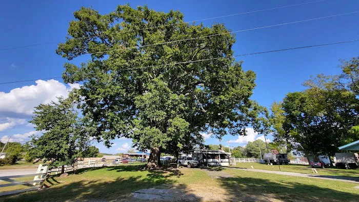Sherman Oaks Campground Picture 6