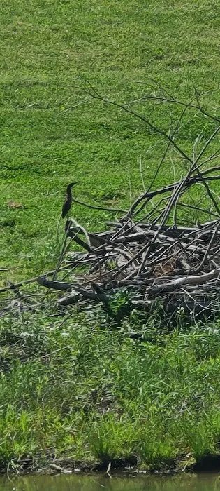 Owl Hollow Retreat Picture 4