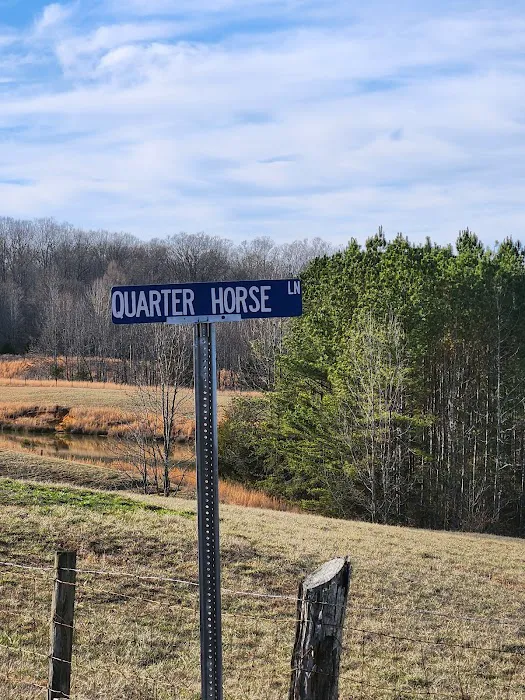 DKH Quarter Horse RV Park Picture 4