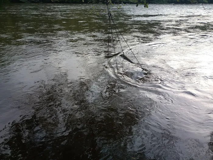 The River Life Picture 3