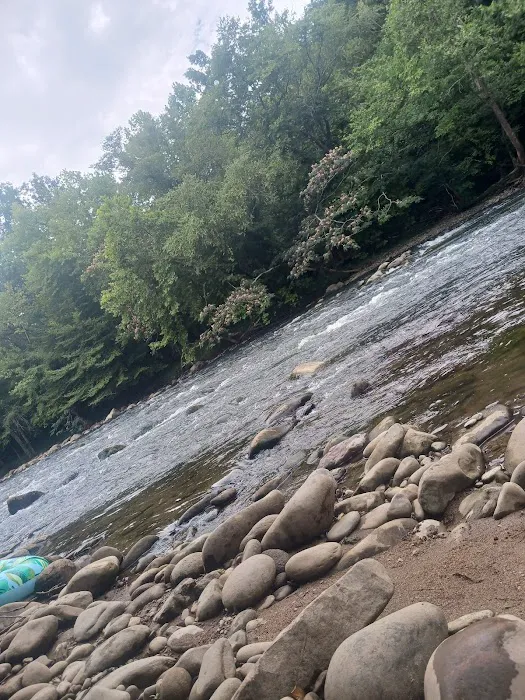 The River Life Picture 2