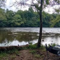 The River Life ico