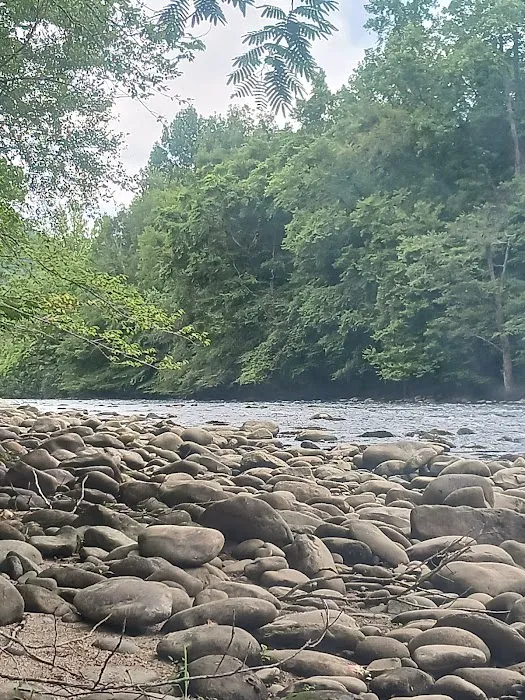 The River Life Picture 4