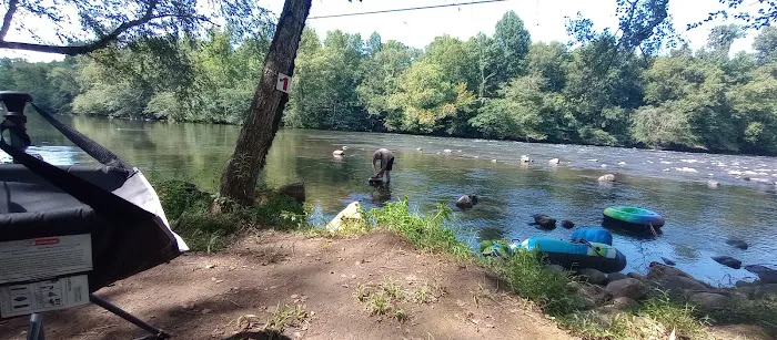 The River Life Picture 5