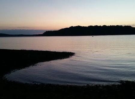 Douglas Lake Campground