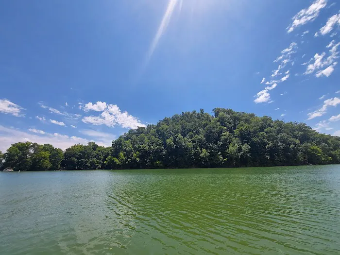 Douglas Lake Campground Picture 6