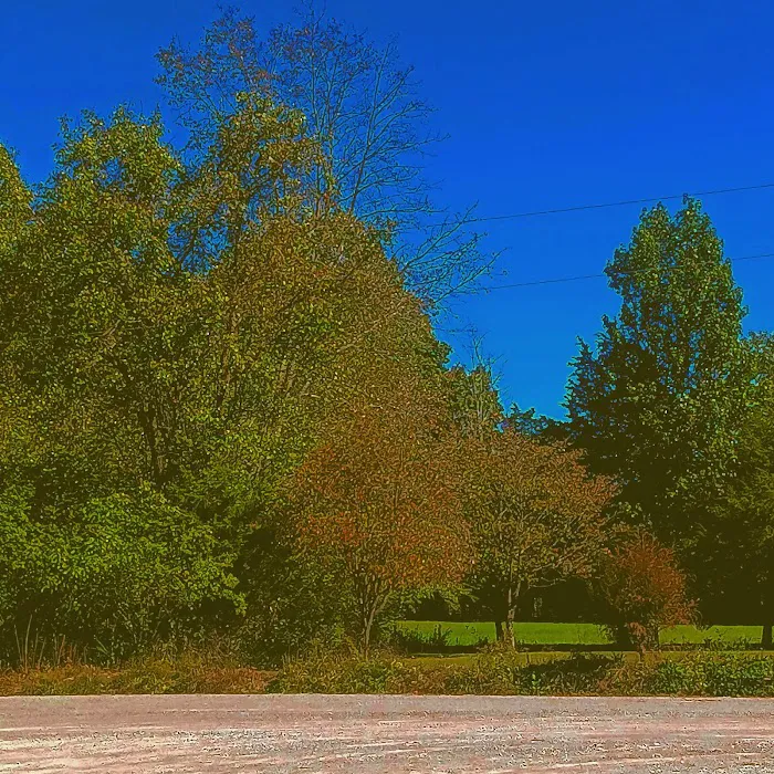 Stock RV Park Picture 9