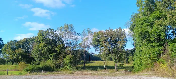Stock RV Park Picture 4