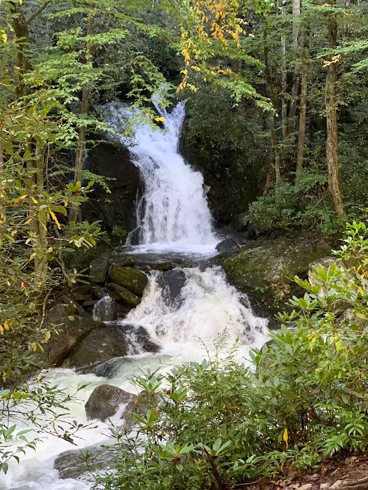 Triple Creek Campground Picture 6
