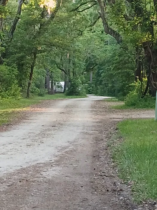 Elmwood Hunt Camp Picture 6