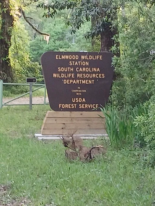 Elmwood Hunt Camp Picture 8