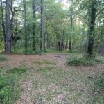 Elmwood Hunt Camp
