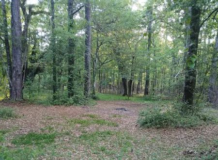 Elmwood Hunt Camp