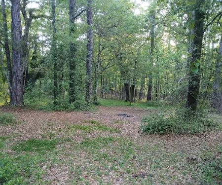 Elmwood Hunt Camp