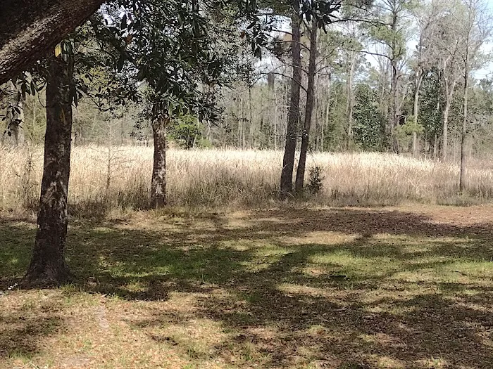 Elmwood Recreation Area Picture 1