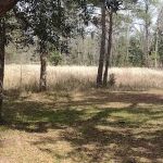 Elmwood Recreation Area