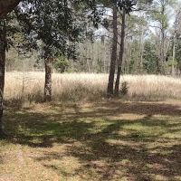 Elmwood Recreation Area ico