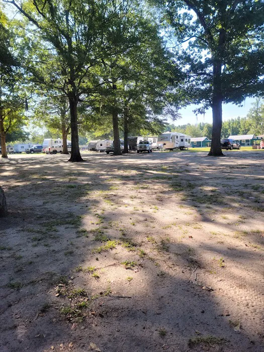 Lumber River Campground Picture 9