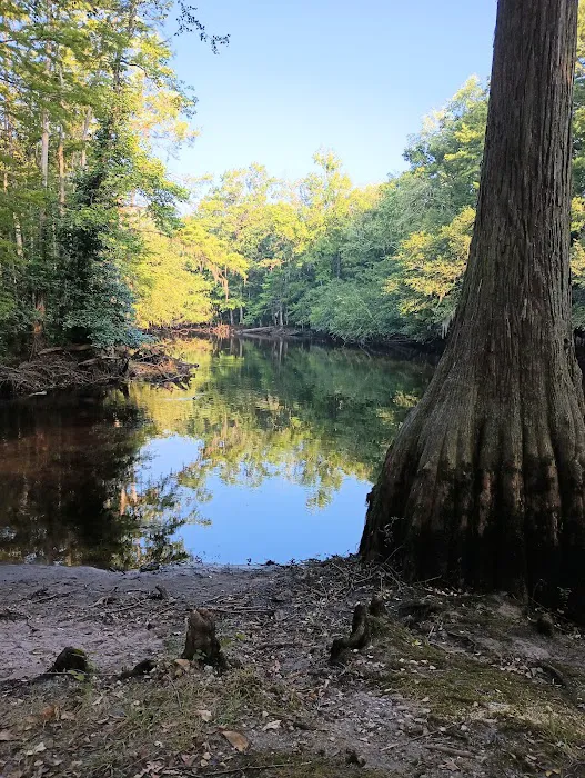 Lumber River Campground Picture 4