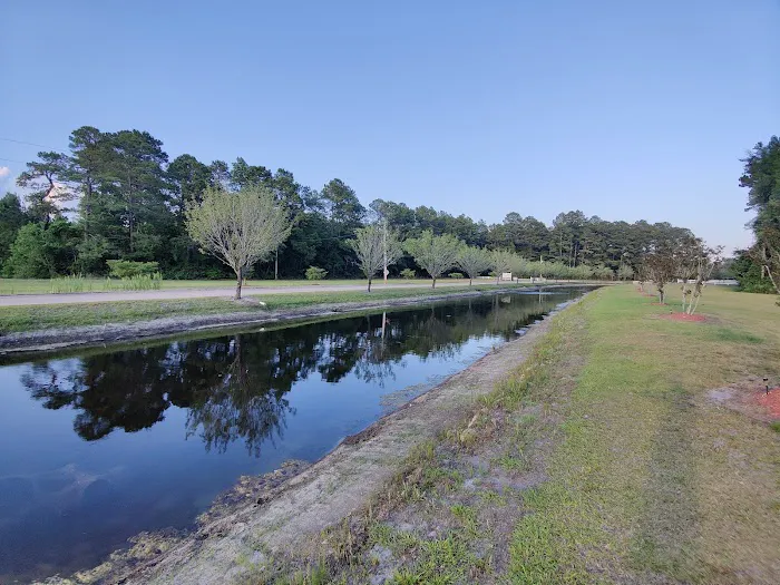 Lumber River Campground Picture 6