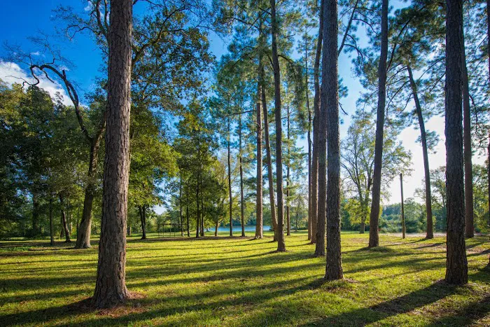 Bass Lake Camp Ground Picture 4