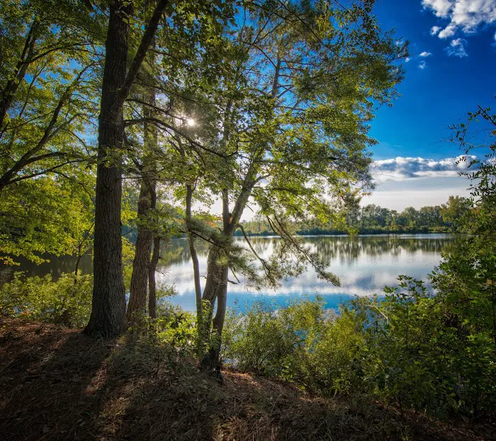 Bass Lake Camp Ground Picture 10