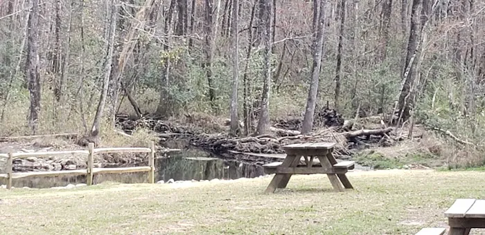 Ranger Station Picture 2