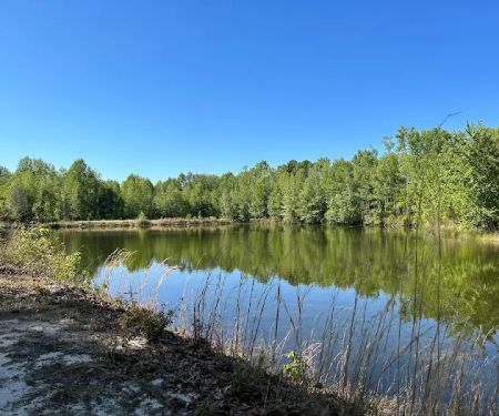 Midpoint I95 RV Park