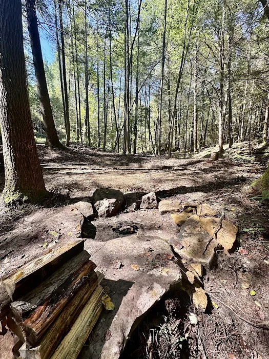 Rustling Pines Campground Picture 1
