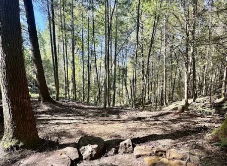 Rustling Pines Campground