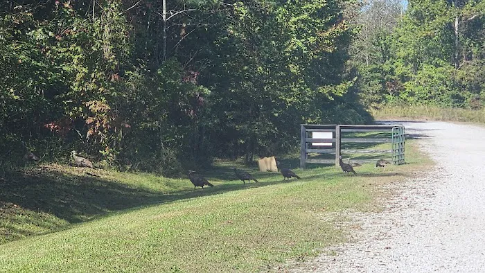 Cross Mountain Campground Picture 6