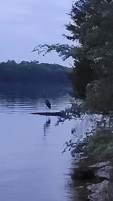 The Boonedocks at Cedar Creek Picture 6