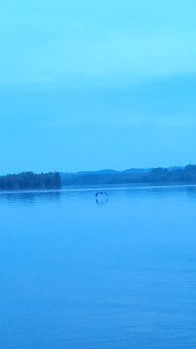 The Boonedocks at Cedar Creek Picture 5