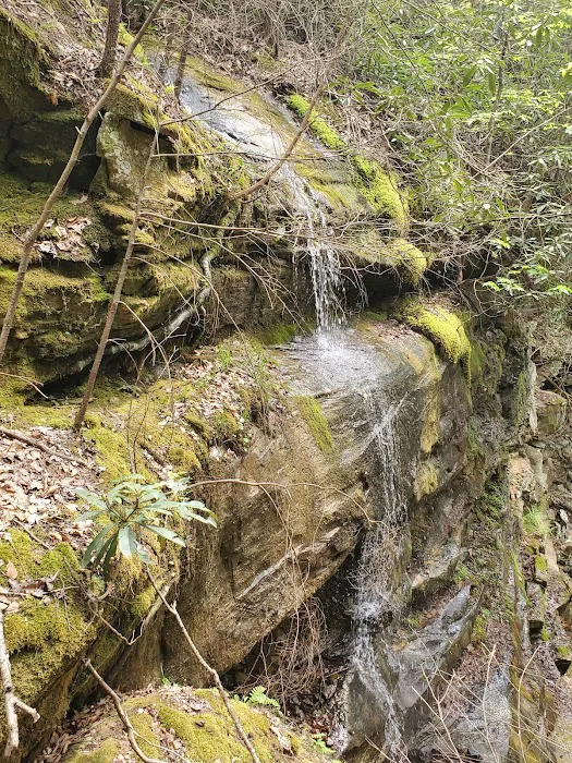 Bee Rock Campground Picture 7
