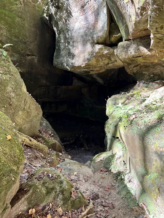Bee Rock Campground Picture 8