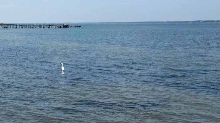 Coastal Mobile Estates Picture 9