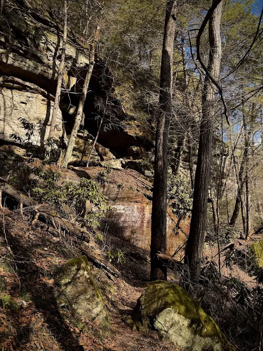 Bee Rock / Rockcastle Rapids Trail Head Picture 4