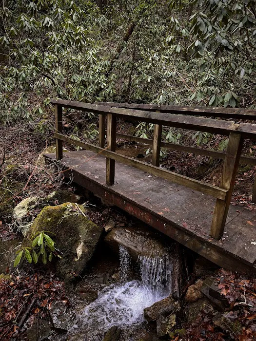 Bee Rock / Rockcastle Rapids Trail Head Picture 6